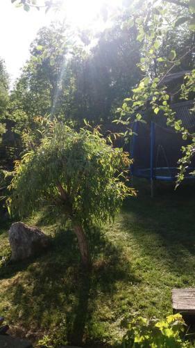 Hostal Pension Valentina