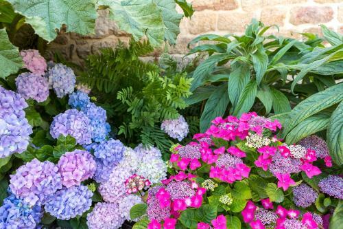 Bed & Breakfast Le Clos Du Men-allen