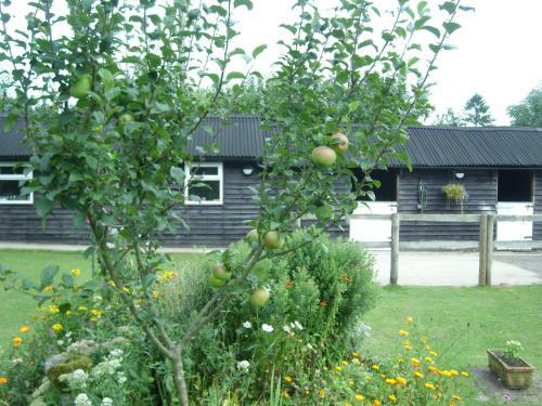 Agroturismo Heathwood Lodge