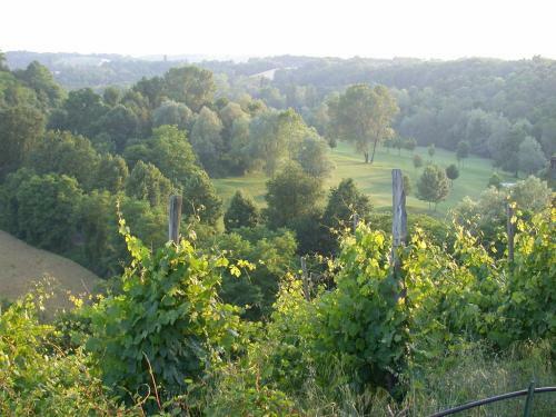Agroturismo Villa Bellaria B&B