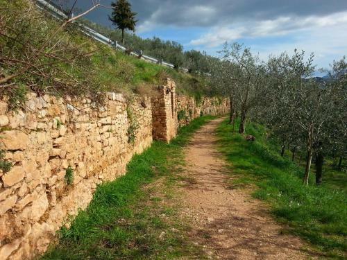 Hostal Terra Dei Santi Country House
