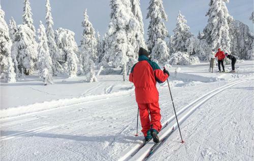 Holiday Home Lj�rdalen Holl�sen