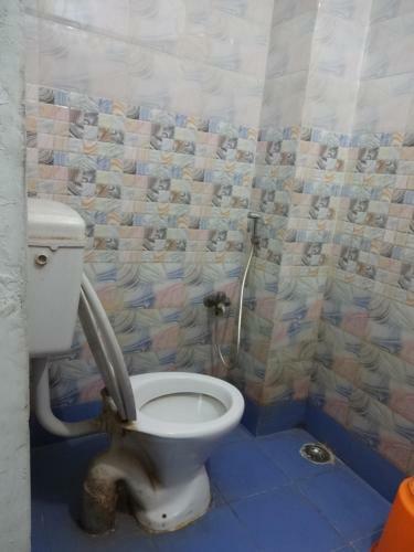 Lodge Hotel Satkar