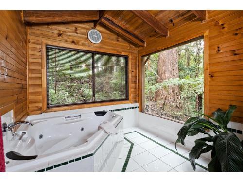 Lodge The Mouses House Rainforest Retreat