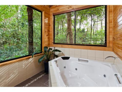 Lodge The Mouses House Rainforest Retreat