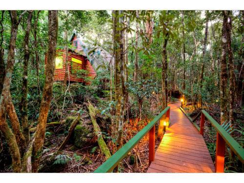 Lodge The Mouses House Rainforest Retreat