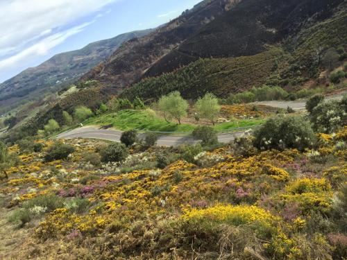 Agroturismo Casona Rural Los Trobos