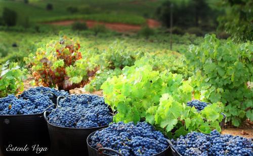 Agroturismo Casona Rural Los Trobos