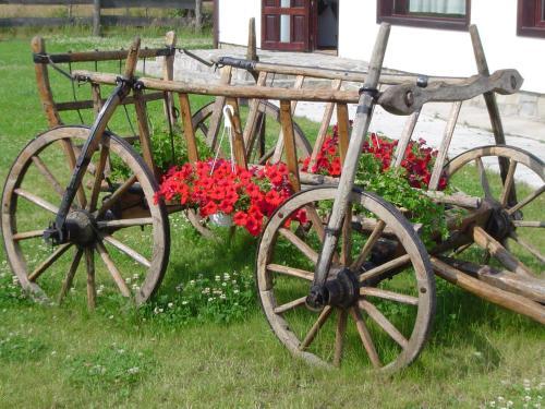 Hostal Serena Guesthouse Bran