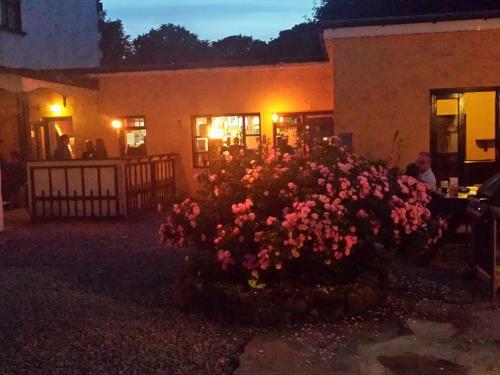 The Valley House Hostel & Bar