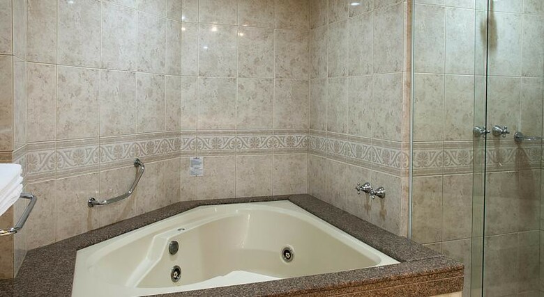 Hotel Holiday Inn Porto Alegre