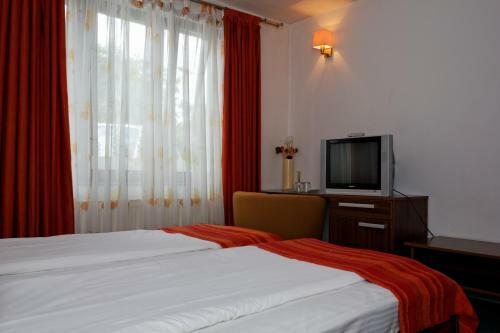 Hostal Pension Stejeris