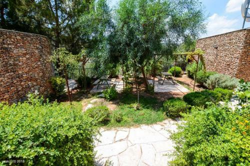 Hostal Tur Sinai Organic Farm Resort