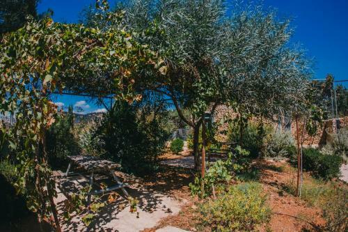 Hostal Tur Sinai Organic Farm Resort