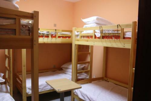 Snow Young Hostel