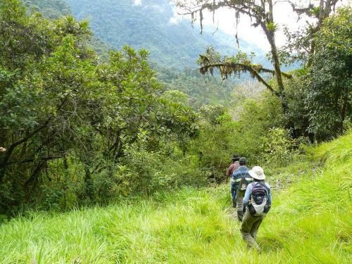 Posada El Refugio De Intag Cloud Forest Retreat
