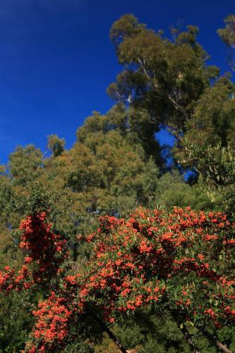Agroturismo Cortijo La Hoya