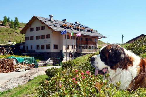 Bed & Breakfast Rifugio Capanna Passo Valles