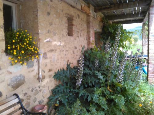 Hostal Agriturismo Pian Di Meta Vecchia