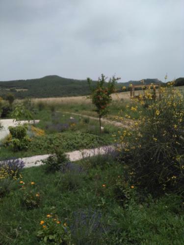 Hostal Agriturismo Pian Di Meta Vecchia