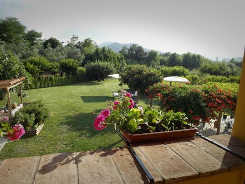 Bed & Breakfast I Due Noci