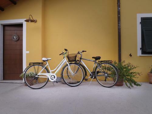Bed & Breakfast I Due Noci