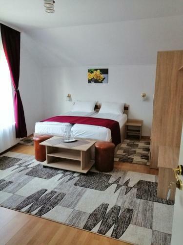 Hostal Casa Pintea