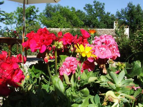 Agroturismo Country House Case Catalano