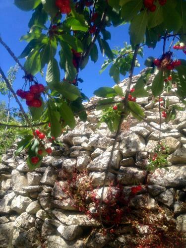 Agroturismo Country House Case Catalano