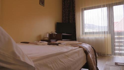 Hostal Pension Musatinii