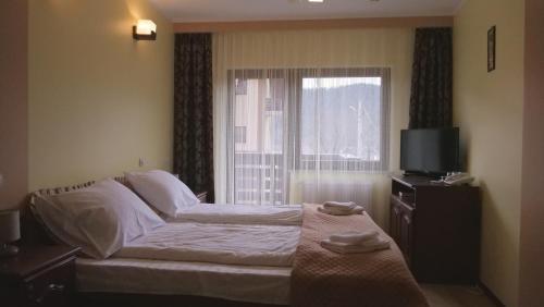 Hostal Pension Musatinii