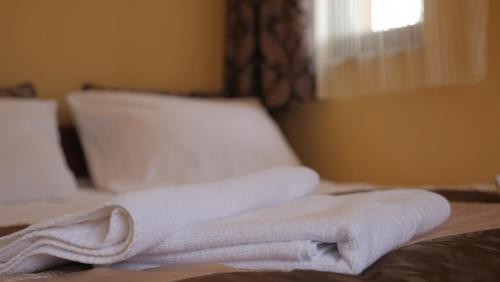 Hostal Pension Musatinii