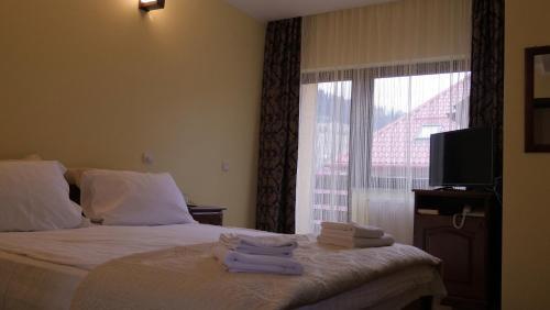 Hostal Pension Musatinii