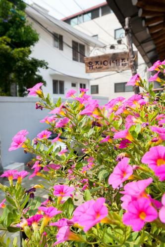 Hostal Eugene Hanok Guesthouse Dongdaemun