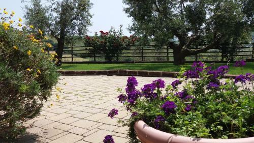 Hostal Agriturismo Poggio Agli Ulivi