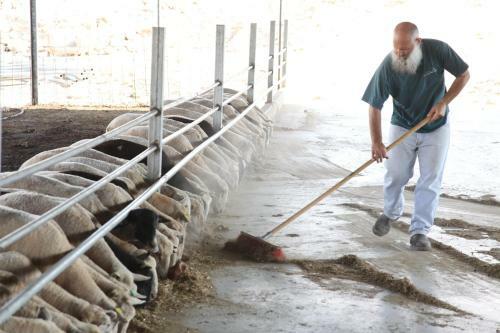 Agroturismo Naot Farm