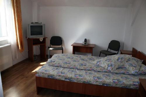 Hostal Pensiunea Pui De Urs Sirnea
