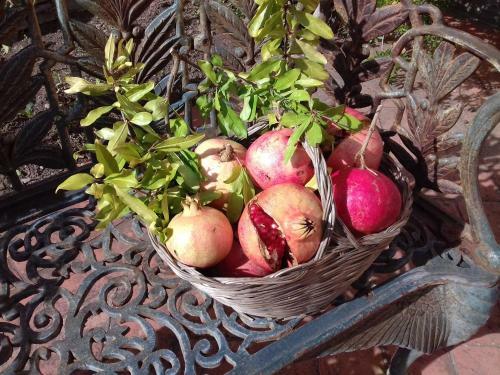 Agroturismo P� Delle Buche
