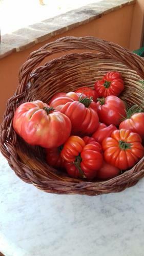 Agroturismo P� Delle Buche