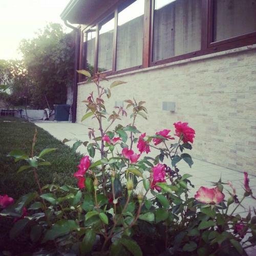 Hostal B&B Borgo Santa Margherita