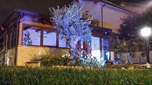 Hostal B&B Borgo Santa Margherita