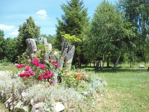 Galesic Apartments & Rooms