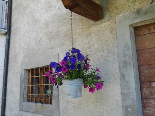 Apartamento Casa Vacanze Podere Ugolini