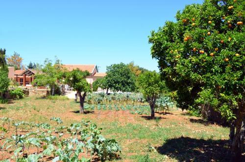 Casas Em Quinta Rural