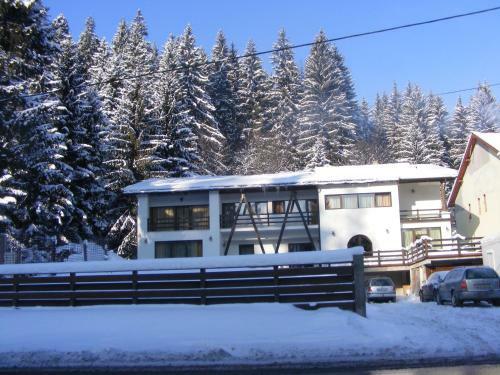 Hostal Casa Timis