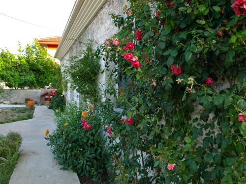 Agroturismo Bostanaki House