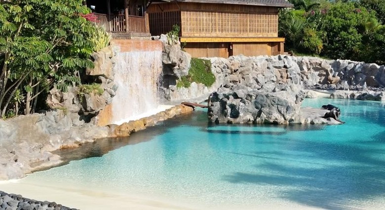 Apartamentos Borinquen