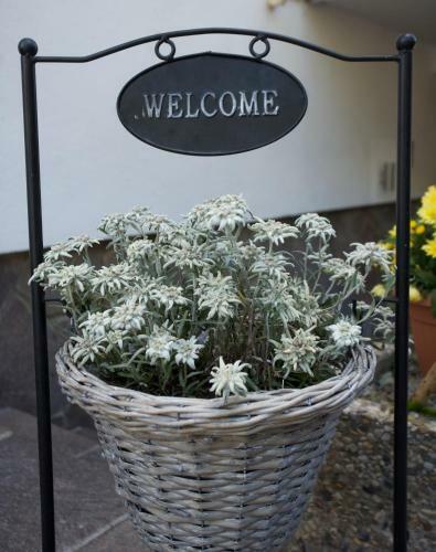 Hotel Garni Fiegl Apart