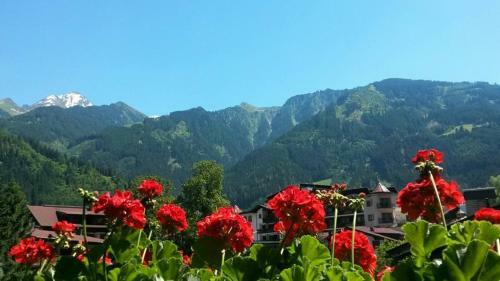 Apartamento Landhaus Alpenrose