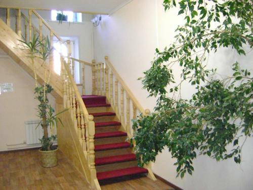 Hostal Hotel Galchonok At Ulitsa Alexeya Tolstogo